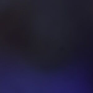 Danielle Steel Books